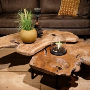 Salontafel Roots - Livik meubelen