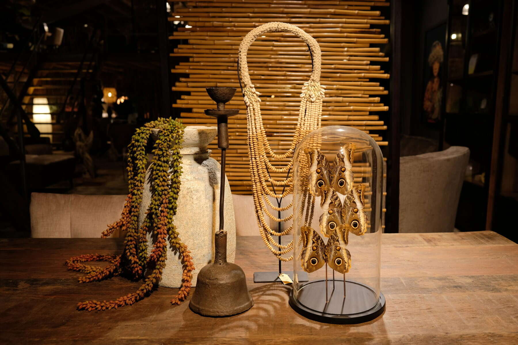 Sfeerfoto - Cat woon