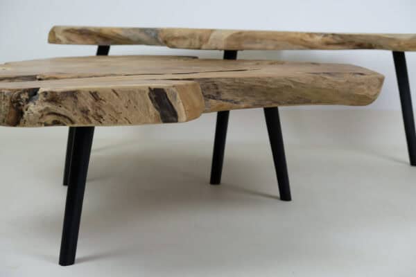 Salontafel Roots - Livik meubelen