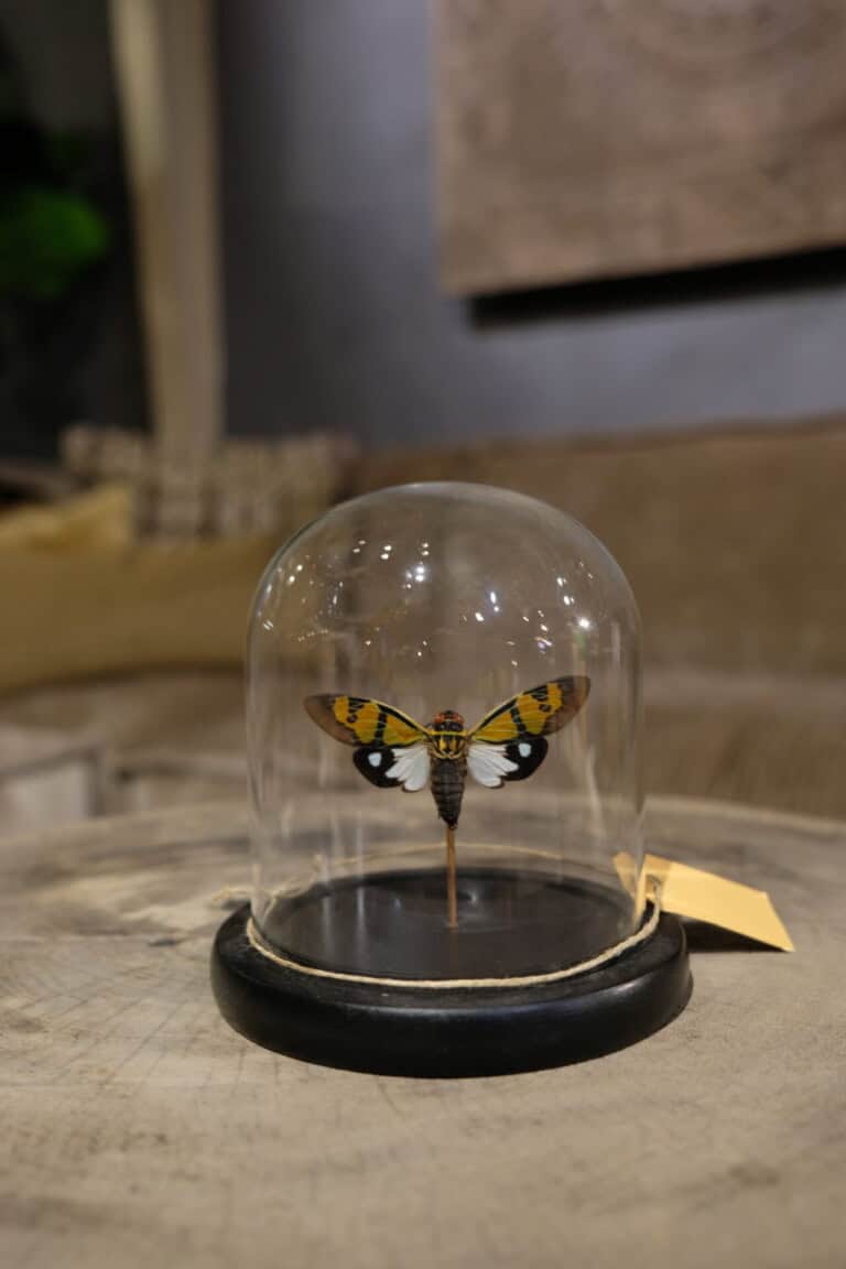 Mot in stolp - Livik meubelen