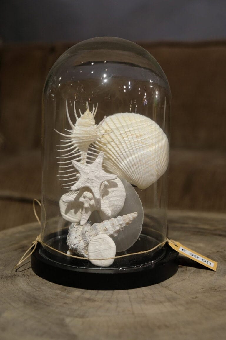 Stolp met schelpen - Livik meubelen