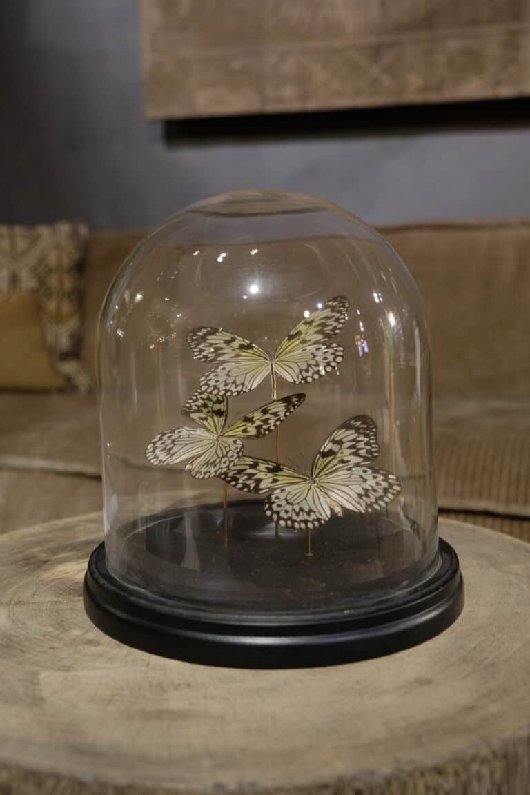 Vlinder 2 stolp - Livik meubelen