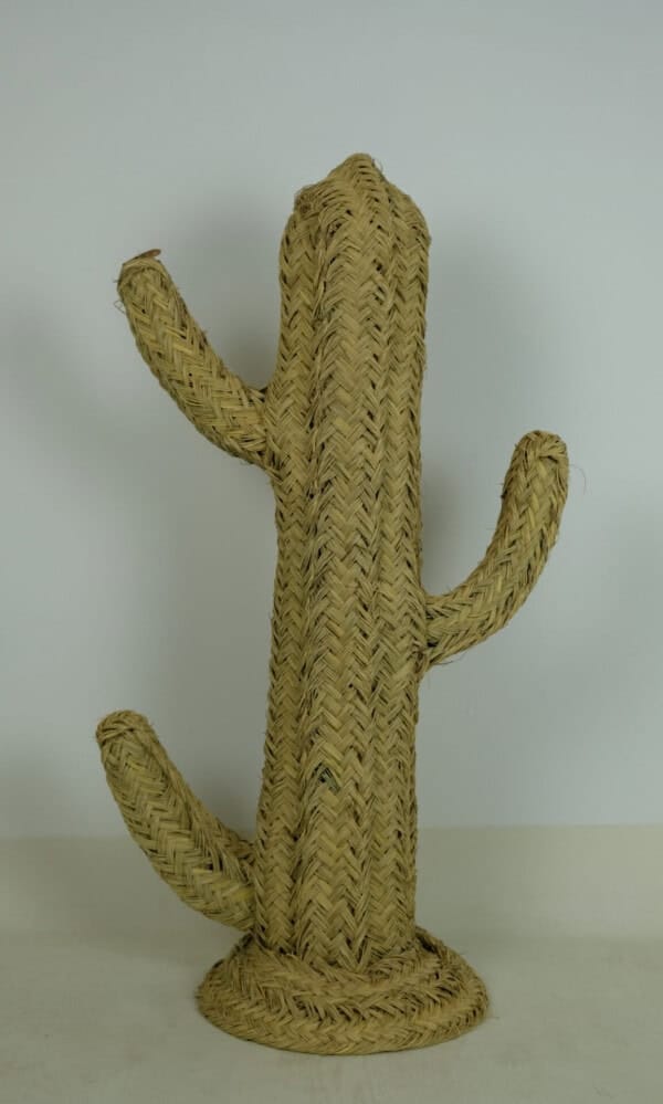 Rotan Catus - Livik meubelen