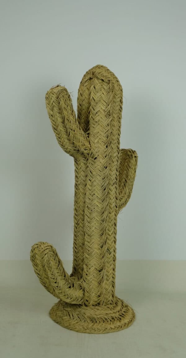 Rotan Catus - Livik meubelen
