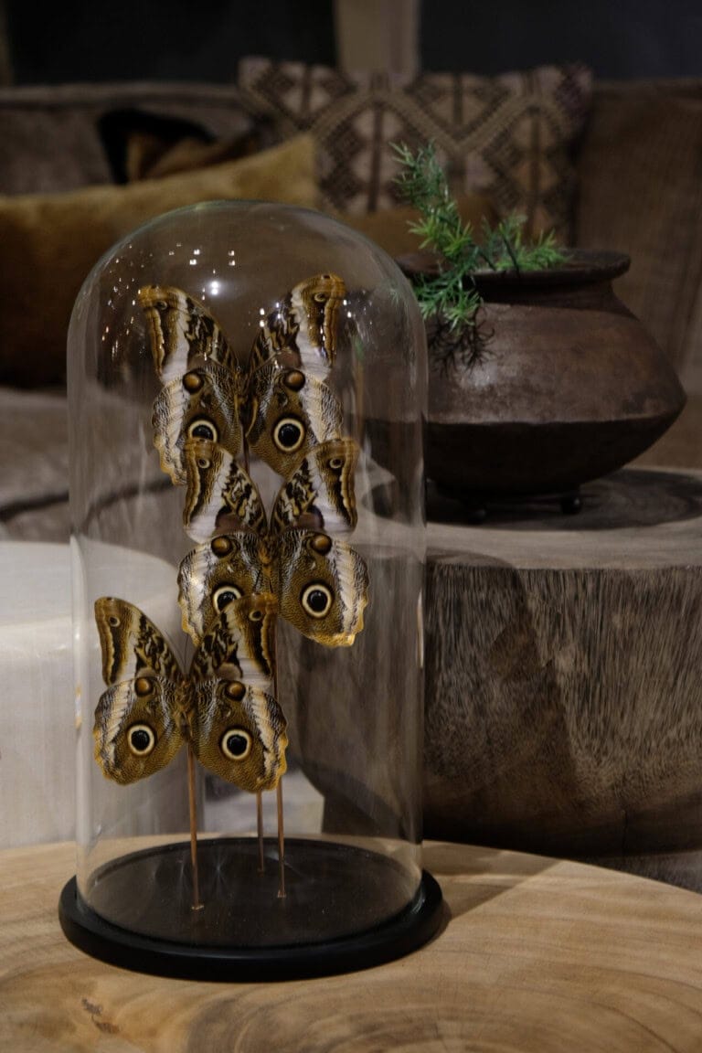 Vlinder stolp - Livik meubelen