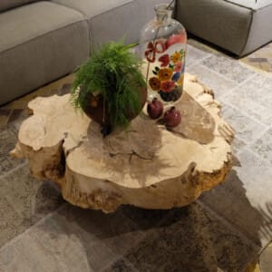 Salontafel Arbor - Livik meubelen
